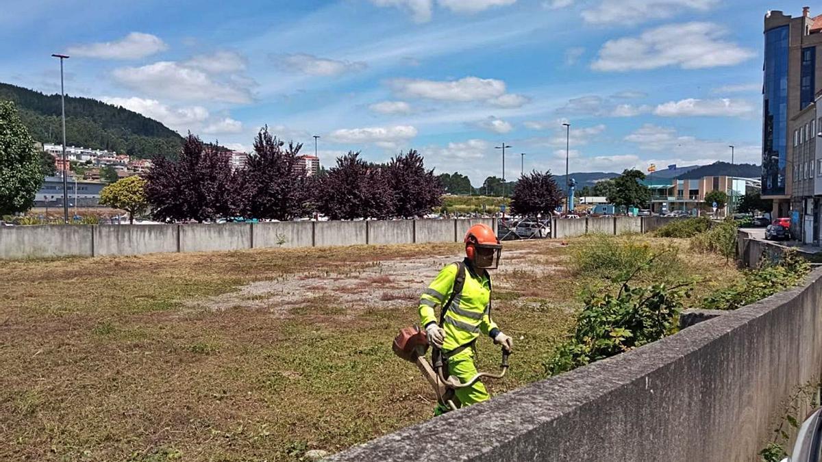 Trabajos de desbroce en la parcela polémica, situada en las inmediaciones del Club Naval.   | // FDV