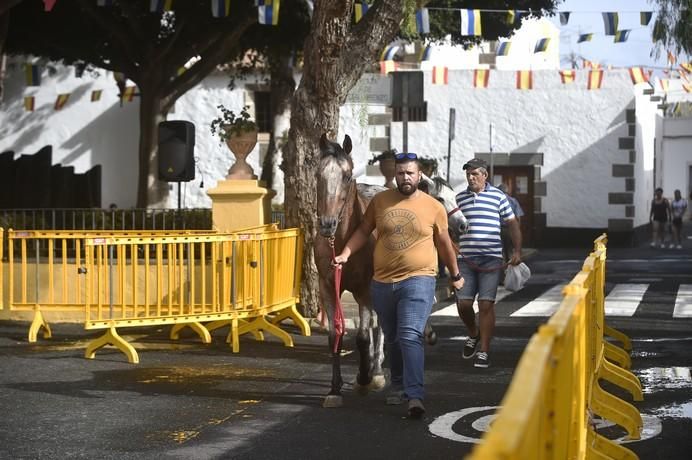 FFERIA GANADO SAN LORENZO 2017