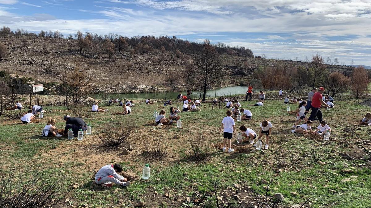 Los alumnos del Colegio Edelweis de Valencia han sido los primeros en participar.