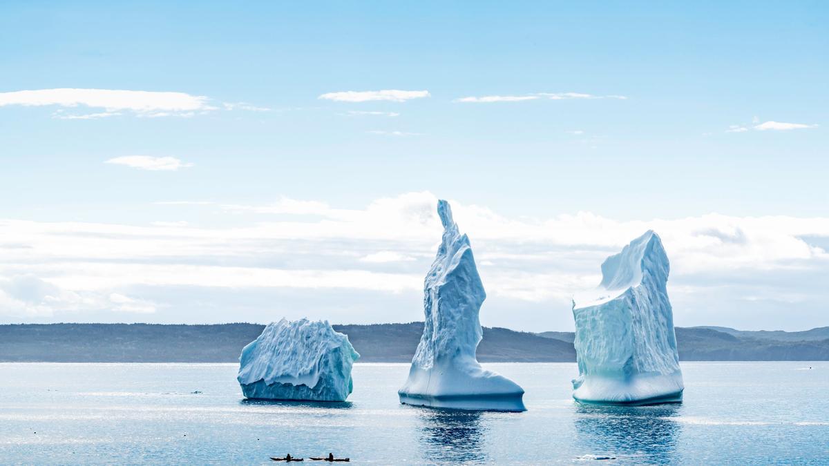 Iceberg, Terranova