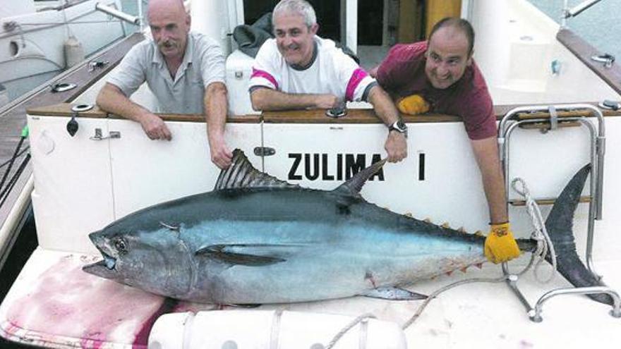 Pescan un bonito de 140 kilos a 35 millas de la costa gijonesa