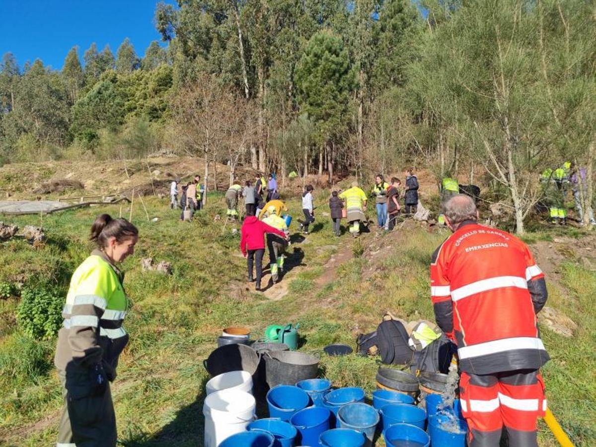 Personal de Emerxencias, abasteciendo de agua en la plantación de ayer en Monte Carrasco.   | // FDV