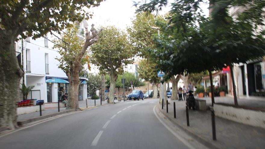 Els arbres de l&#039;entrada del poble.