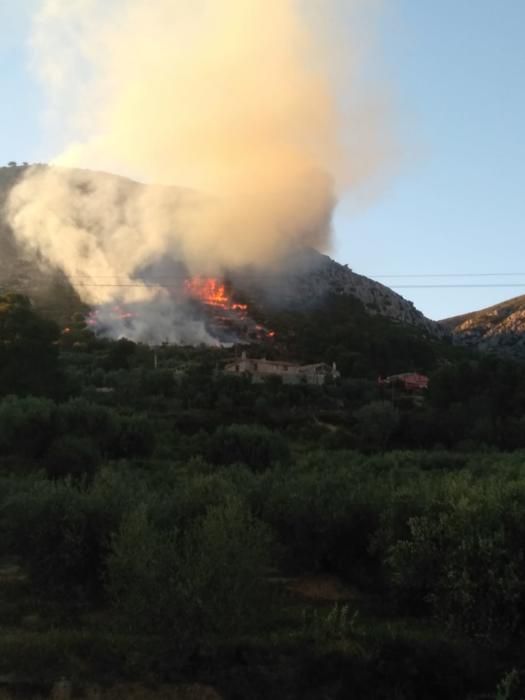 Incendi a Torroella