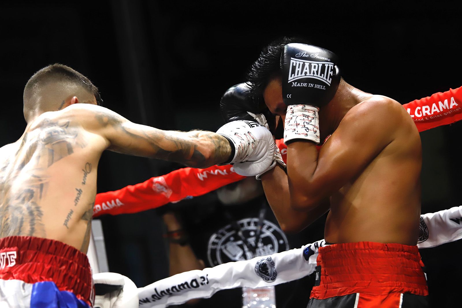 Las imágenes de la velada de boxeo en Vista Alegre