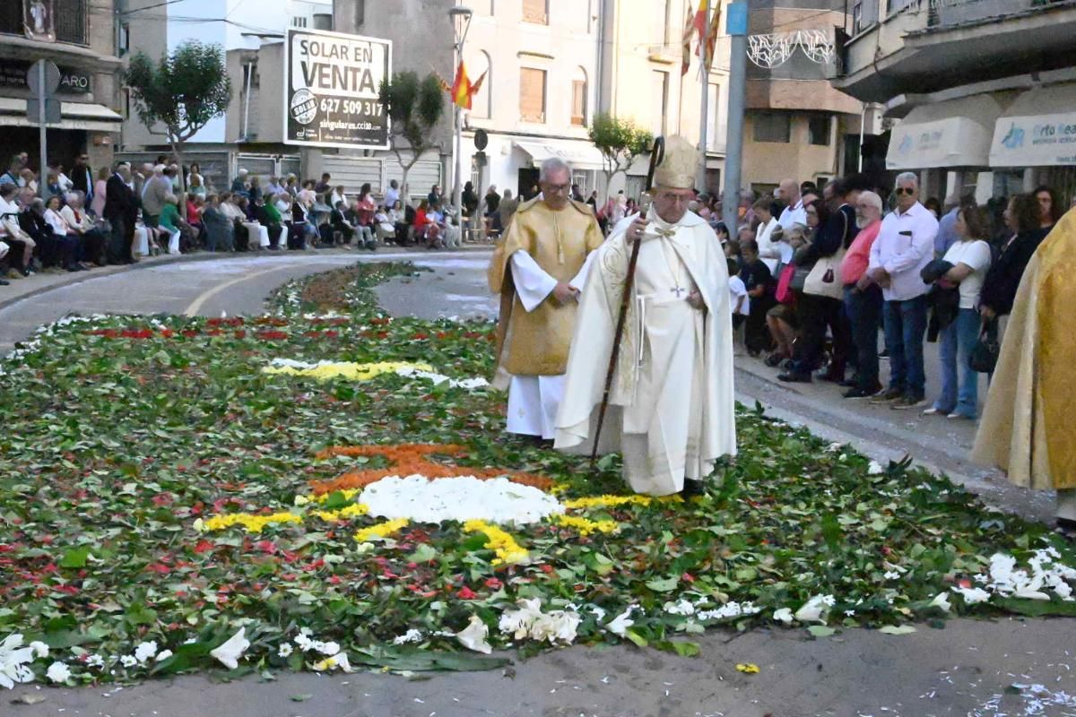 Galería | Procesión de San Pascual