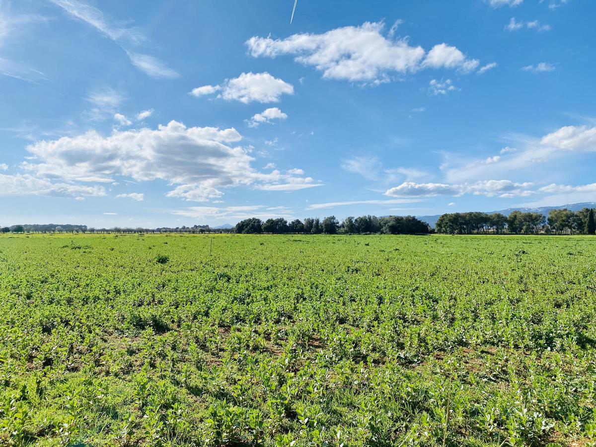 Die Temperaturen steigen kräftig an.
