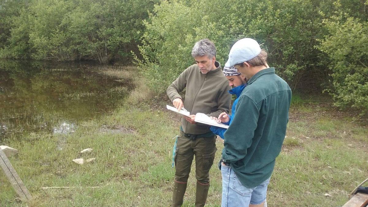 Inspección realizada por Adega y el Aula de la Naturaleza de Siradella, hace tres años.