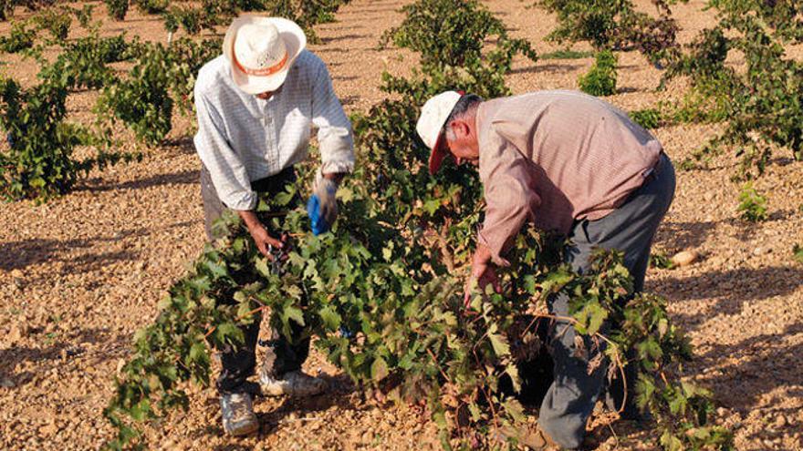 Agricultores y ganaderos afrontan 2018 con la &quot;peor&quot; de las perspectivas