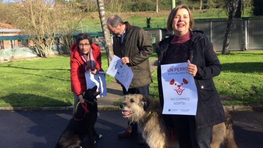 El Ayuntamiento de Oviedo inicia una campalña sobre la tenencia responsable de animales: "Una mascota no es un regalo de Navidad "