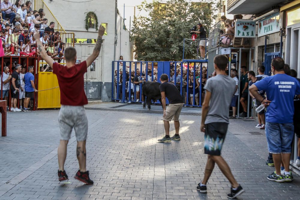 Fiestas de la Vaca de Castalla.