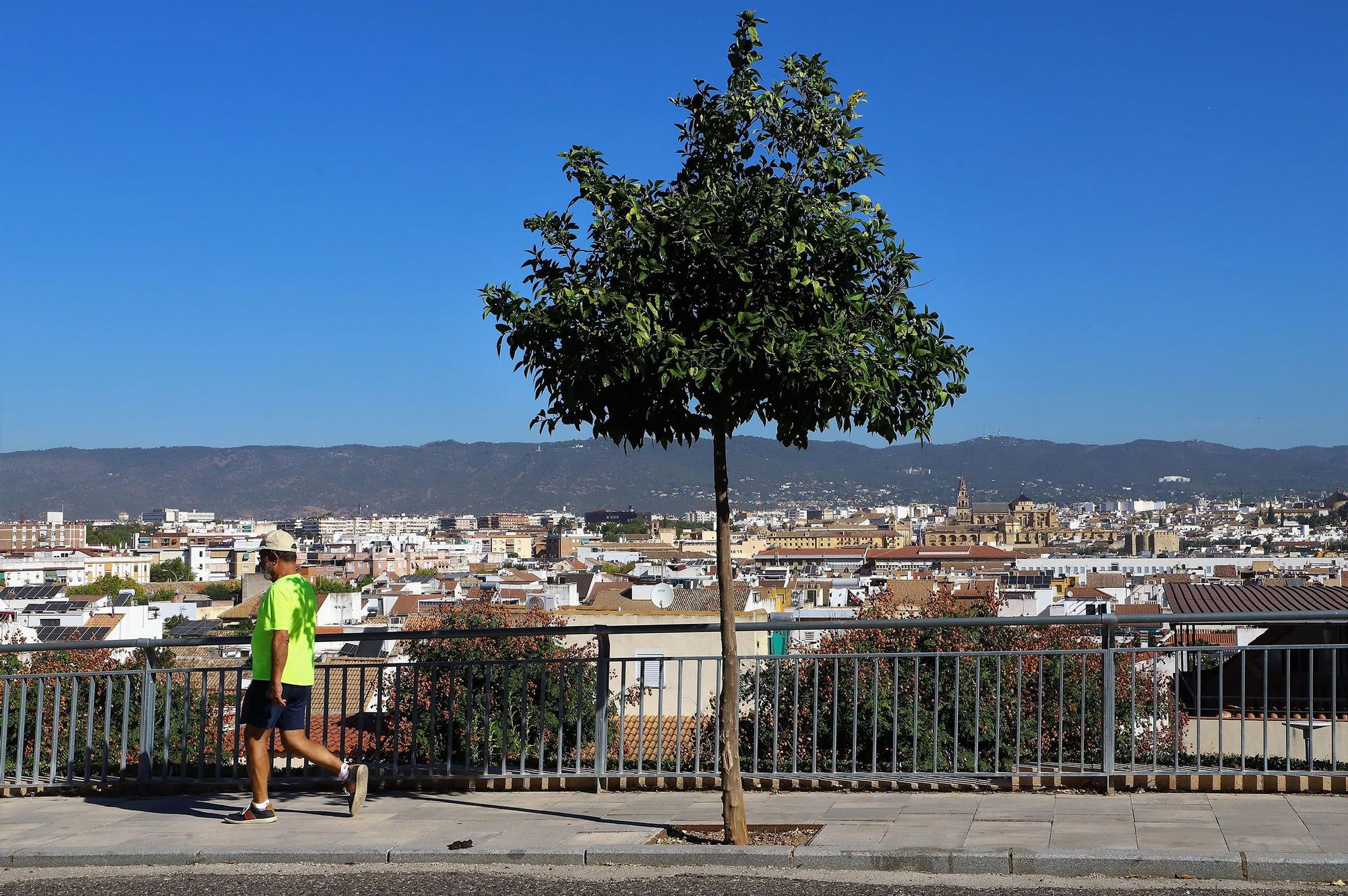 Mirador de Osario Romano