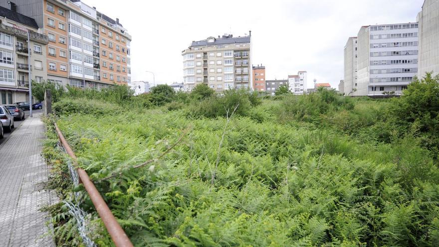 Parcela con estado selváticoen el centro de A Estrada.  | // BERNABÉ/JAVIER LALÍN