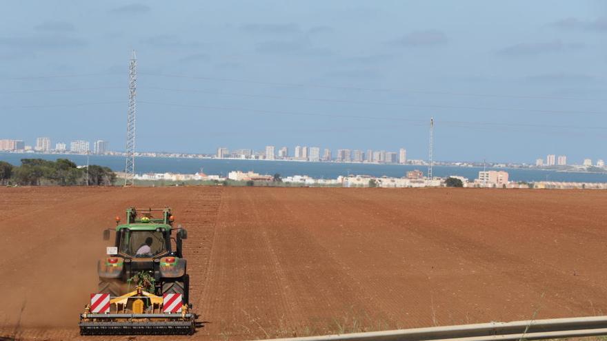 Cultivos en la cuenca el Mar Menor