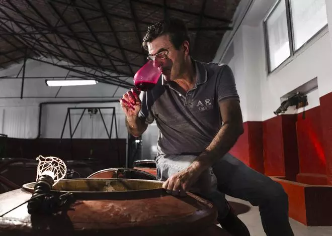 ¿Conoces el vino alicantino más premiado internacionalmente? Es de Bodegas Volver
