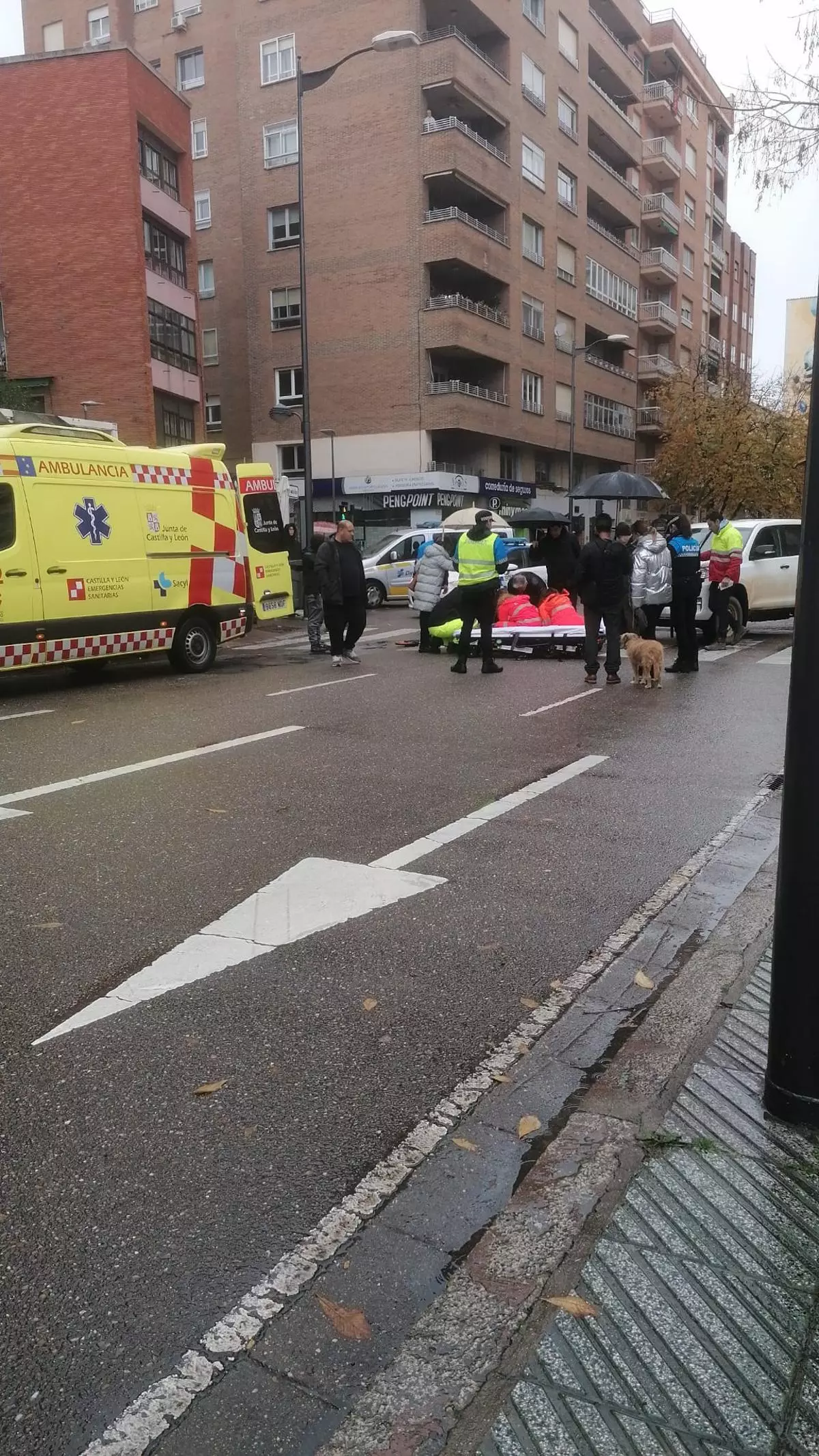Mañana de accidentes en Zamora capital: atropello en Príncipe de Asturias