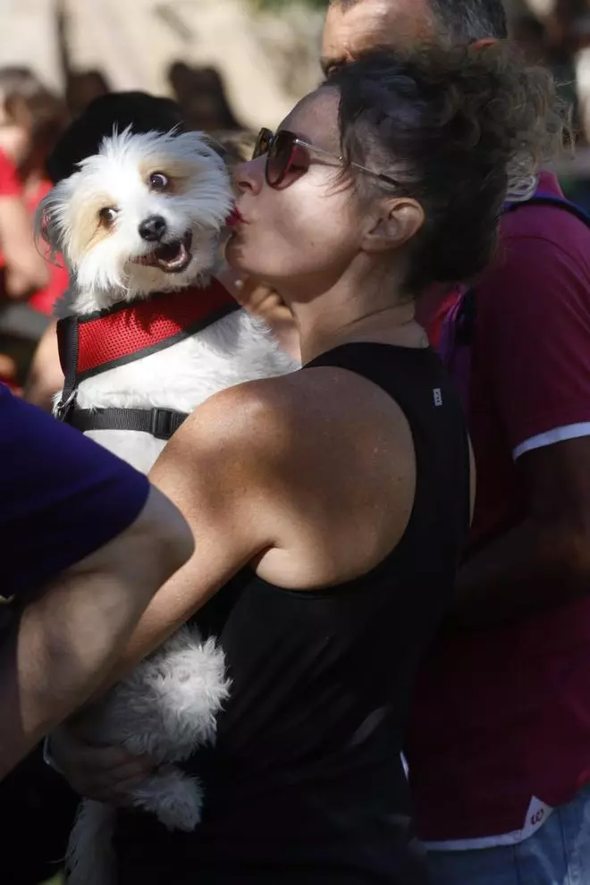 Las mascotas, protagonistas de la Feria de los Animales de València