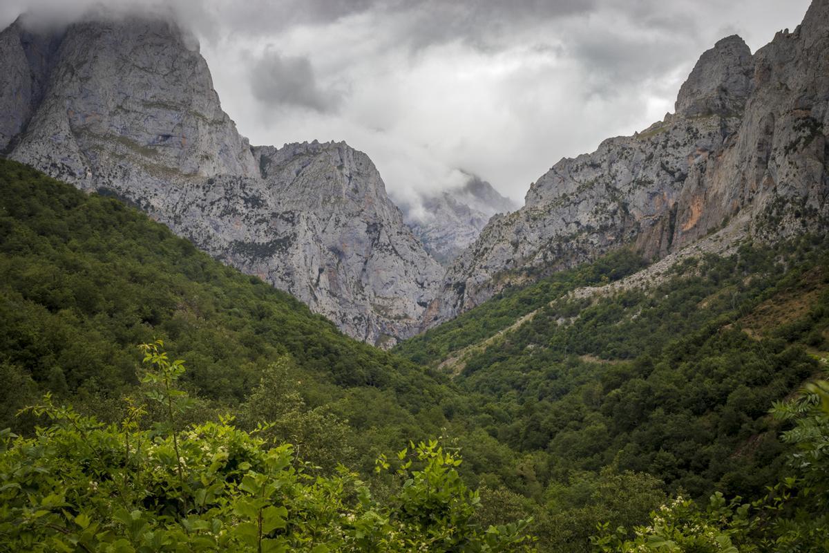 Caín de Valedón, Picos de Europa leoneses