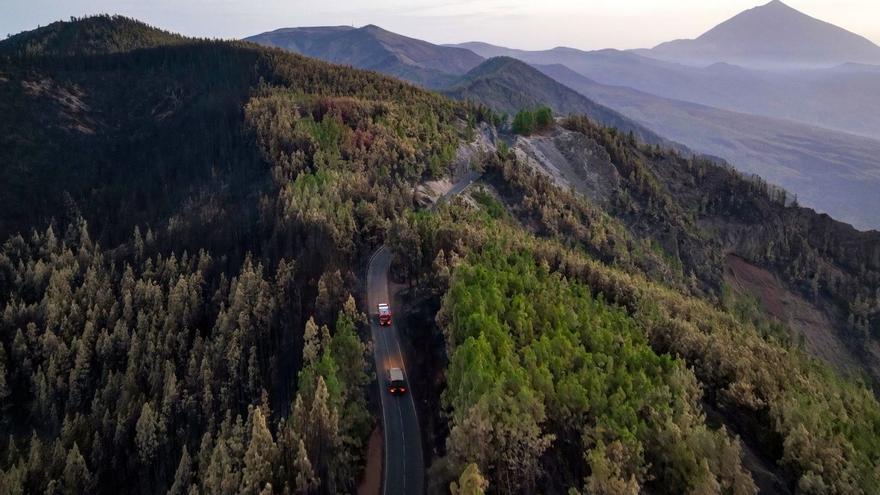 Imagen tomada por un dron de los daños causados por el reciente incendio de Tenerife en la Corona Forestal.