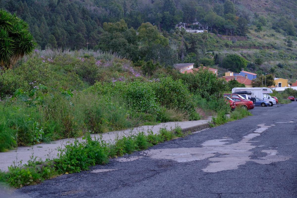Los vecinos se quejan del mal estado de las calles y la maleza