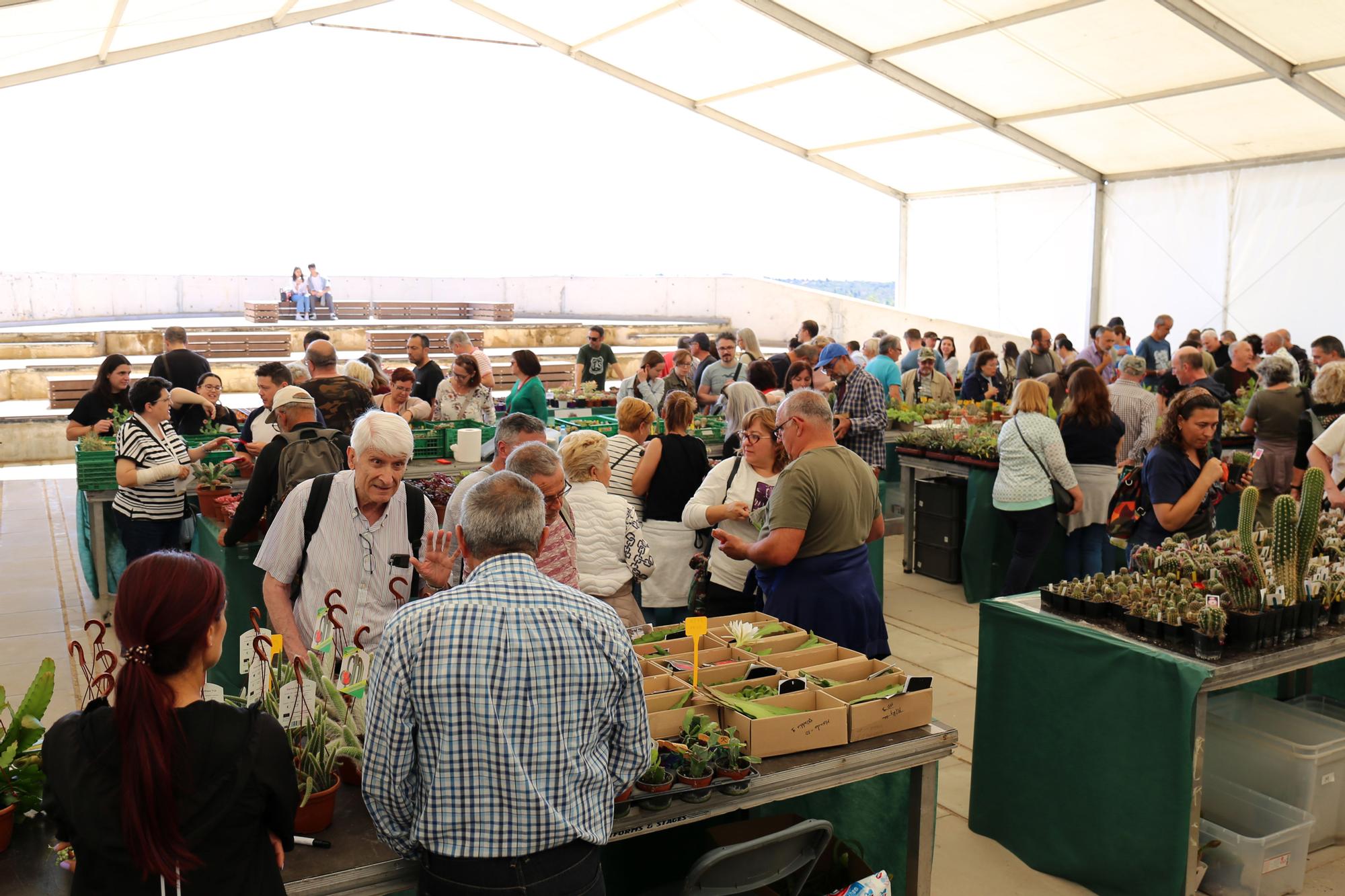 Cheste celebra la Feria del Medio Ambiente