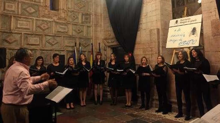 Pepe Avello dirigiendo la &quot;Schola Cantorum&quot; en un concierto en Grado.