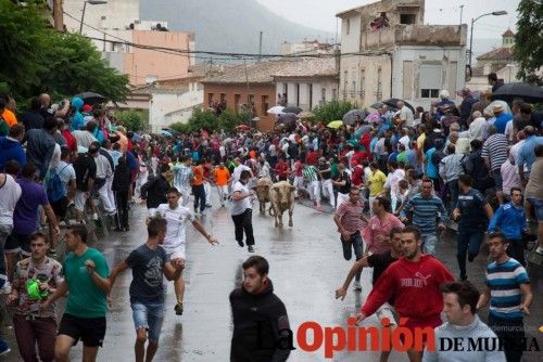 Cuarto encierro Feria del Arroz 2015, Calasparra