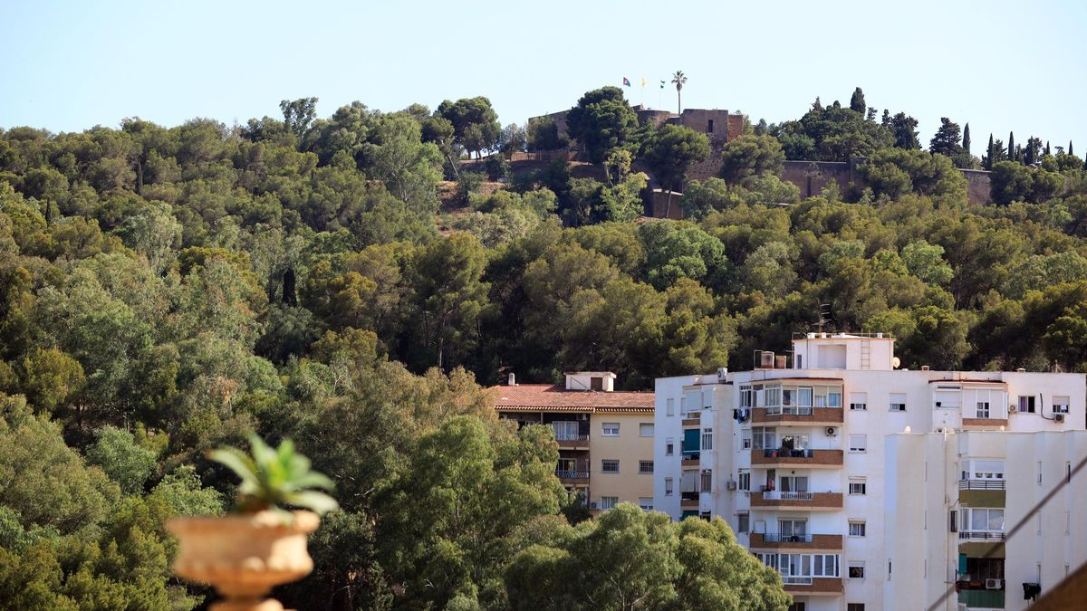 El detenido actuaba en la zona del Castillo de Gibralfaro.