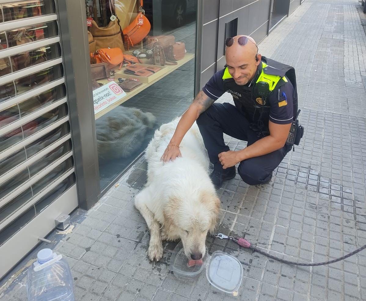 Rescaten un gos a Terrassa que portava tancat en un balcó tres dies sense aigua ni menjar