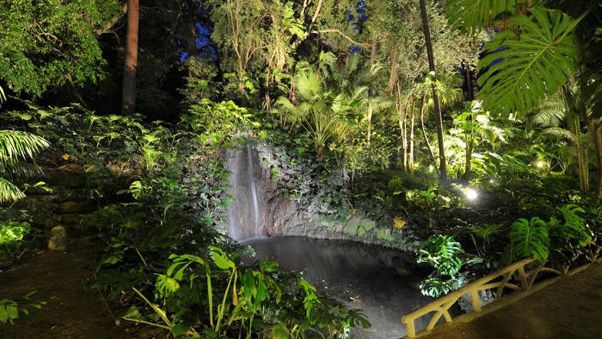 Cascada en el jardín botánico, con iluminación nocturna.