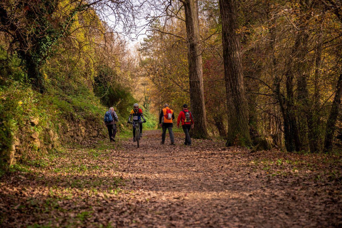 El Camí ramader de Campdenàvol es ideal para el senderismo y el ciclismo de montaña