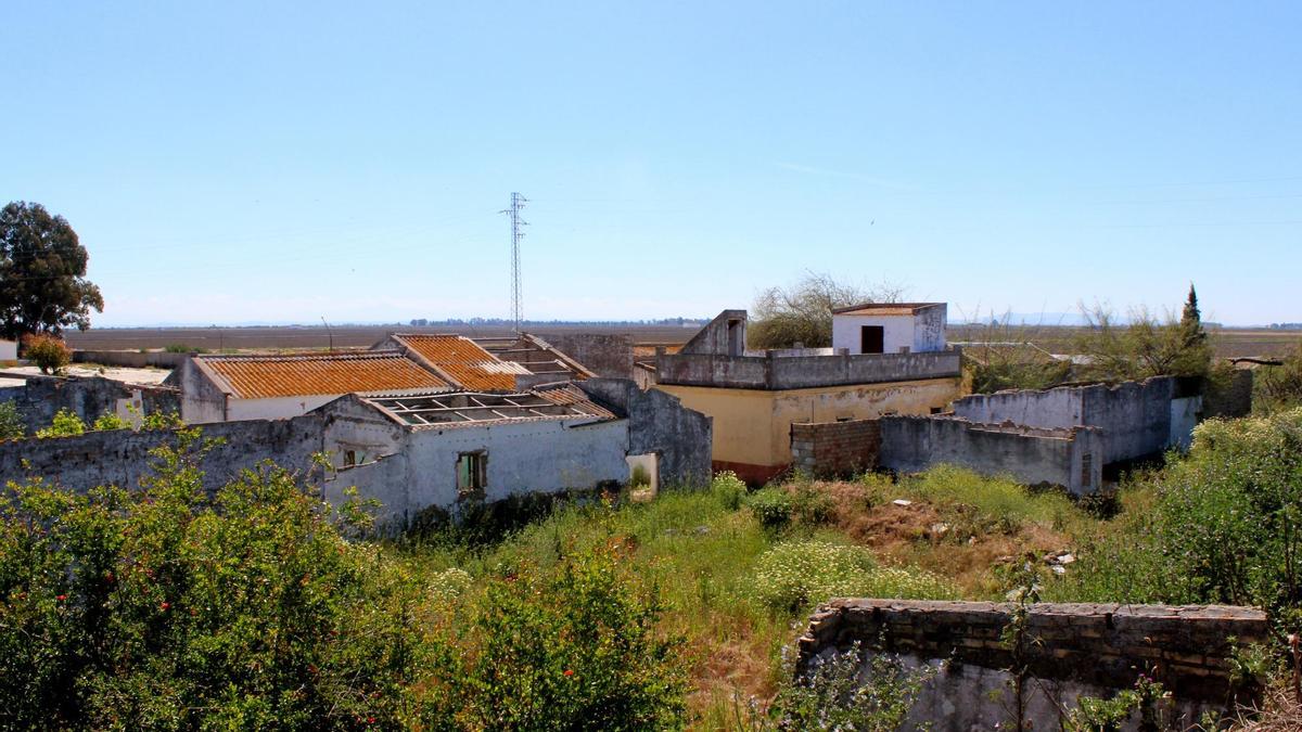 El recién nombrado poblado Los Cinco de La Riuela se encuentra abandonado, entre fincas y tierras de cultivo del arroz. / María Caballero