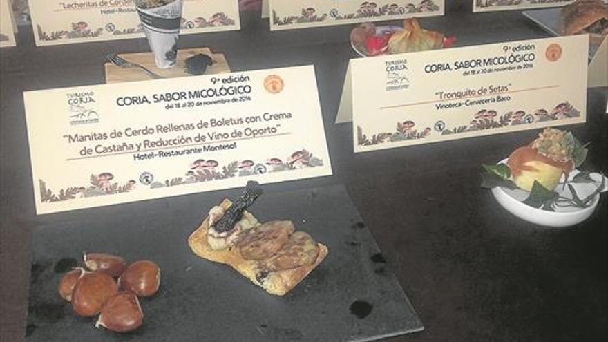 Las jornadas micológicas de Coria incluyen degustaciones, ruta y certamen