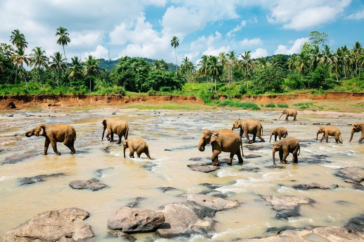 Mejor Destino de Turismo de Aventuras de Asia