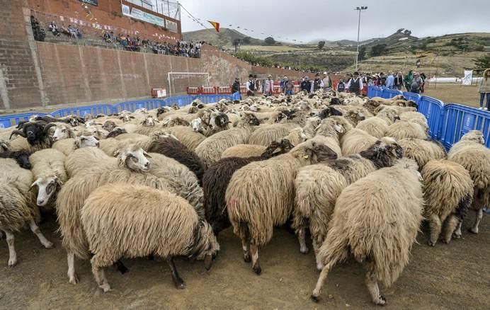 CAIDERO DE GÁLDAR A 30/05/2017. Día de Canarias en Caidero de Gáldar, Fiesta de la lana. FOTO: J.PÉREZ CURBELO