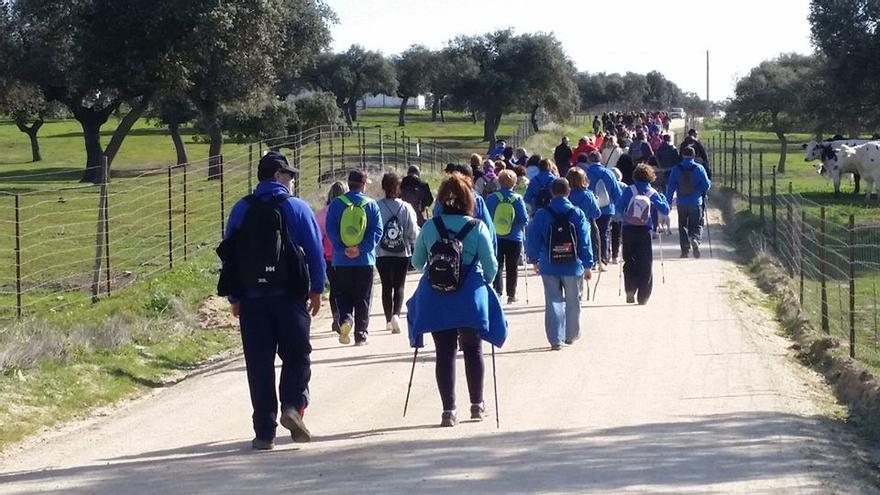 Un nutrido grupo de senderistas en la ruta Privilegio, en una pasada edición de la fiesta.