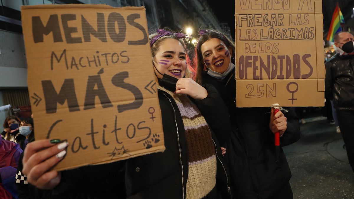 25N: Galicia salió a la calle vestida de morado