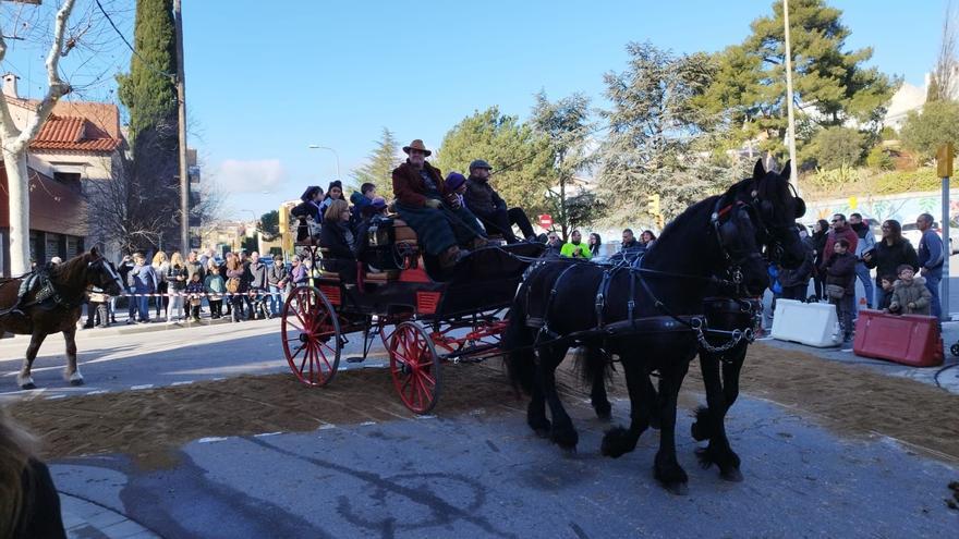 Igualada celebra els seus Tres Tombs amb una cinquantena de carruatges