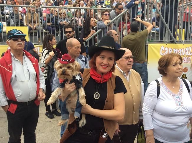 Carnaval de Las Palmas de Gran Canaria 2017: Carnaval Canino