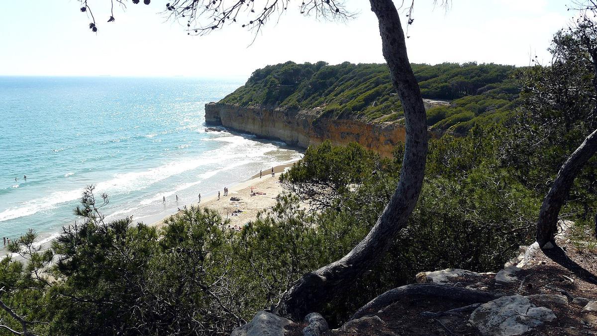 También es conocida como Platja de l'Arboçar