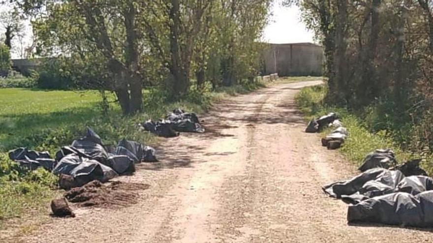 Les restes en un camí del nucli de Vilatenim, a Figueres