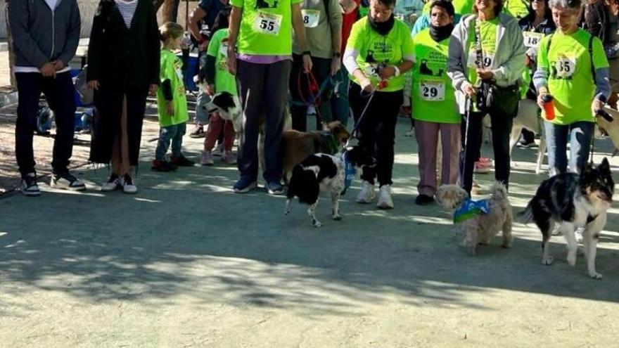 Llega la gran feria de mascotas a Mutxamel: canicross, exhibiciones y muchas más actividades