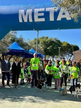 Llega la gran feria de mascotas a Mutxamel: canicross, exhibiciones y muchas más actividades