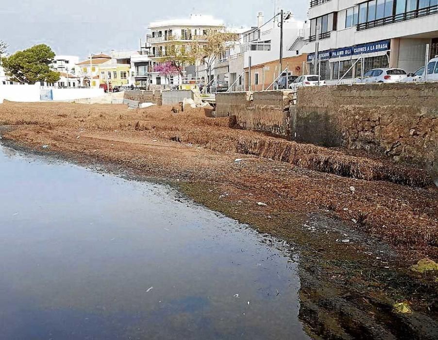 Costas dice que el informe de Cort sobre Cala Gamba ?no es el requerido?