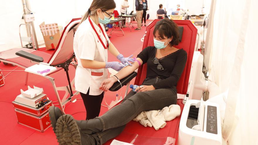 El primer dia de donació de sang per Temps de Flors no assoleix les expectatives