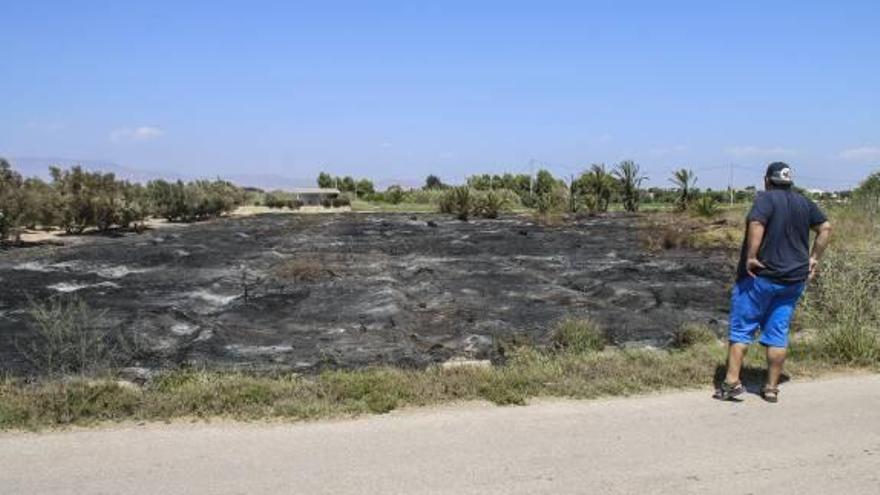 Un incendio de parcelas  con palmeras y cañizo alerta a los vecinos de Dolores