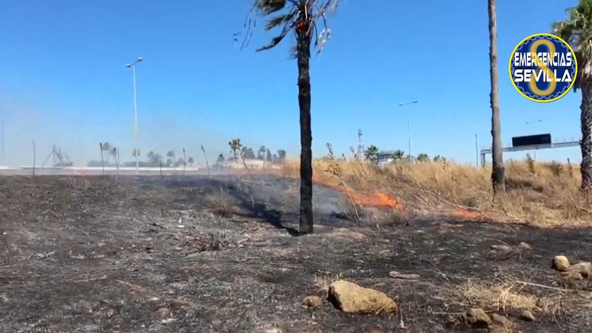 Incendio en la zona de Tablada