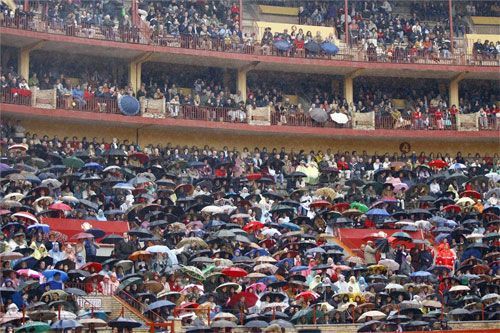 Festival a beneficio de la Asociación contra el Cáncer