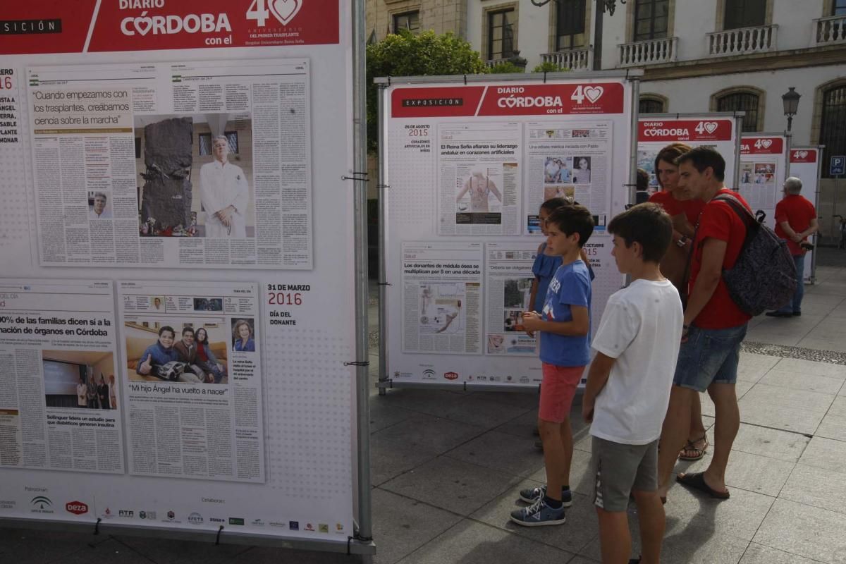 Las Tendillas se llena de 40 años de portadas de Diario CÓRDOBA sobre trasplantes