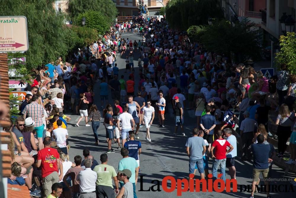 Suelta de toros en Moratalla